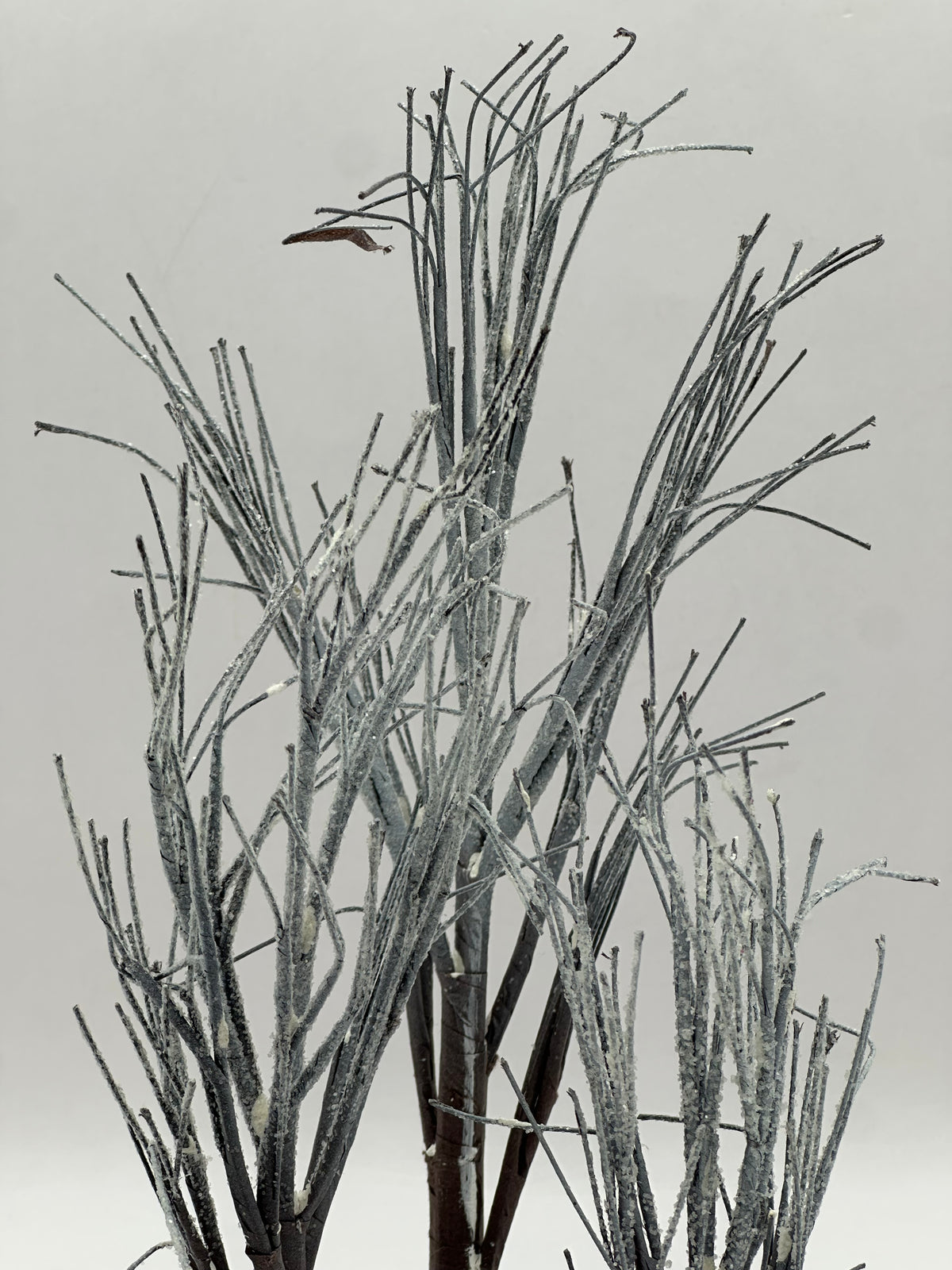 Department 56 - First Frost Trees - Village Accessories
