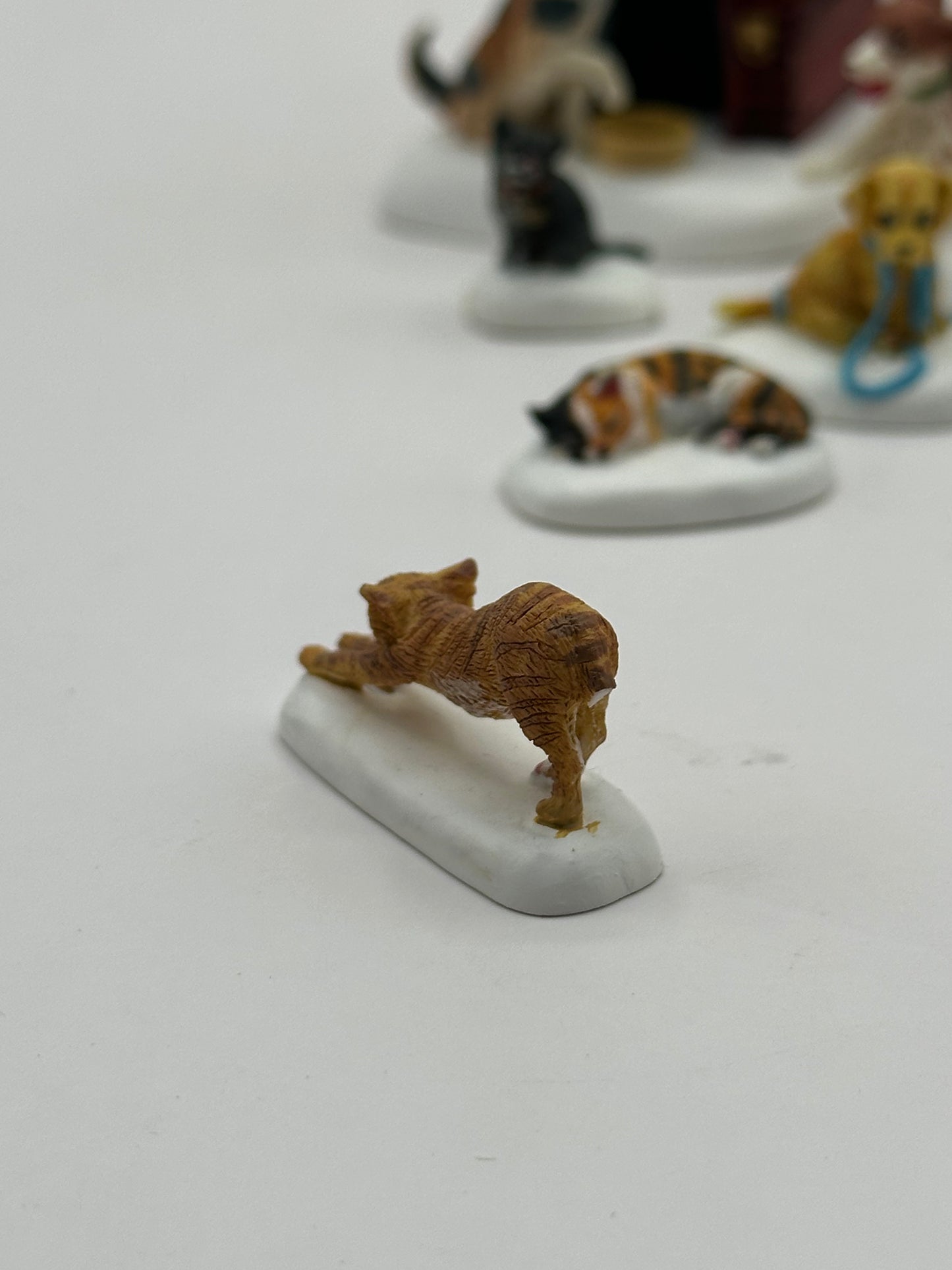 Department 56 - Village Cats and Dogs - Village Accessories